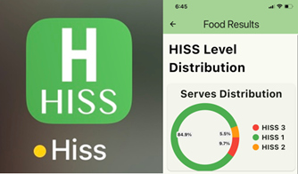 User interface for HISS